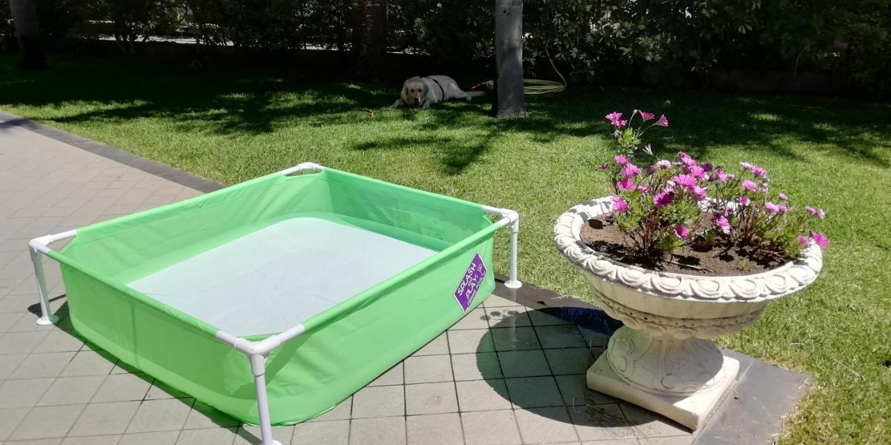 マスカリ Casa Michelangelaヴィラ エクステリア 写真